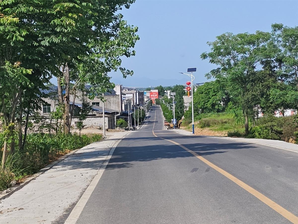 500盏路灯照亮幸福回家路点亮乡村振兴“星光大道”